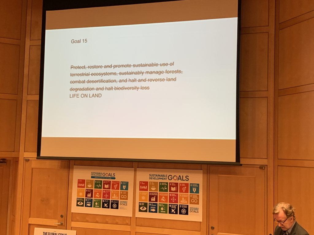 SDGsのロゴデザインやコミュニケーション設計を手がけたヤーコブ・トロールベックさんのプレゼンテーション５